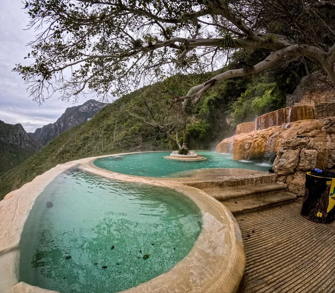 Infinity pool with a tree at the center surrounded by thermal water