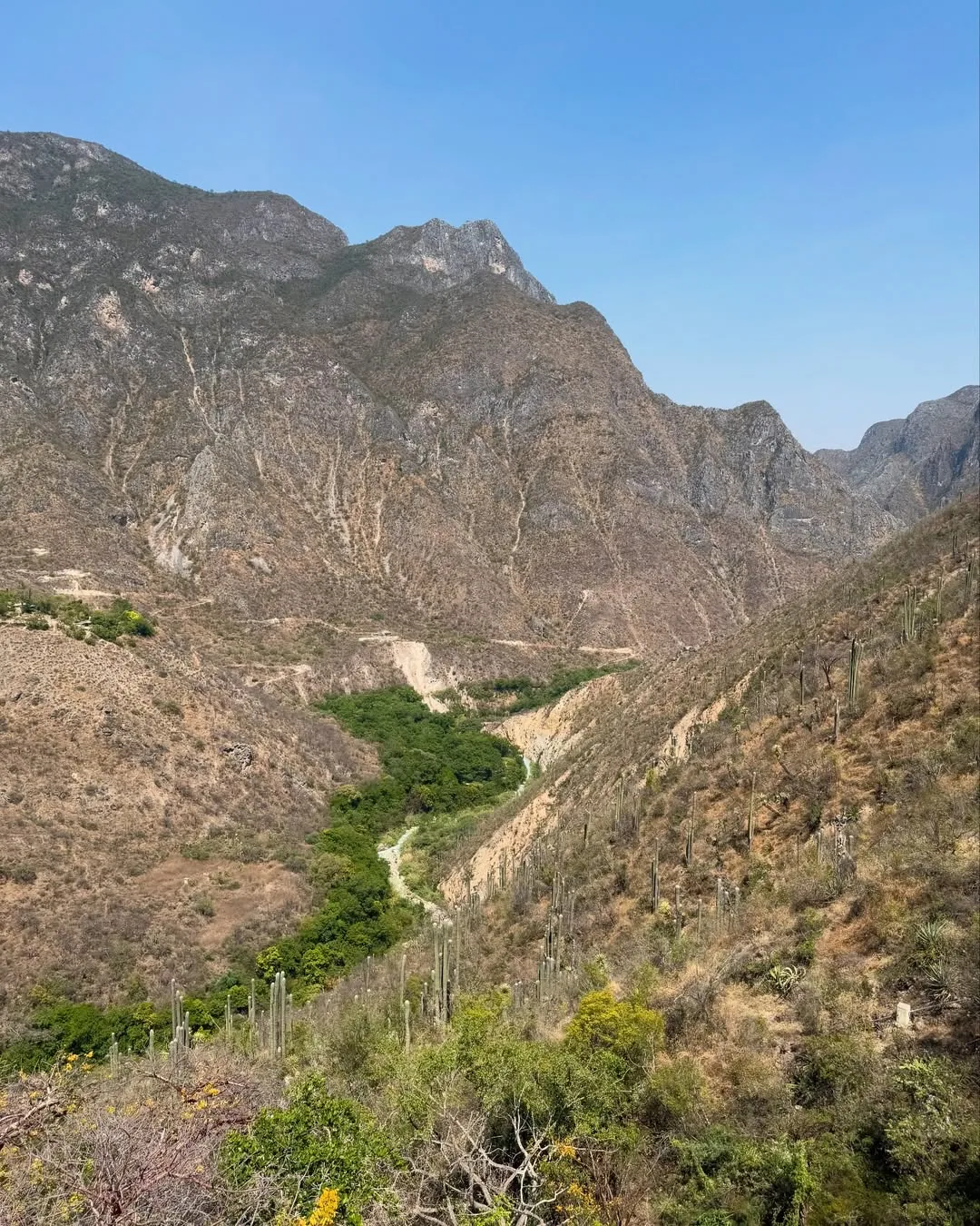 Ruta desde Ciudad de México